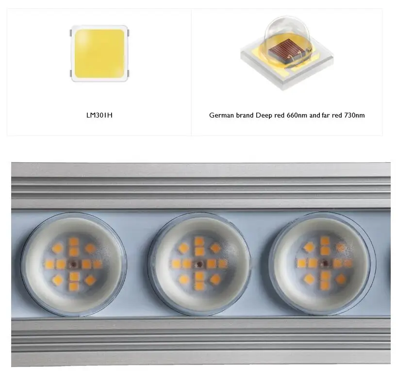 Koray 900W Wewnętrzna lampa do – Led Strip Lights recenzja i cena